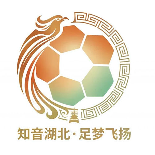 湖北省城市足球联赛 随州炎炎队VS天门衣尚队20260927